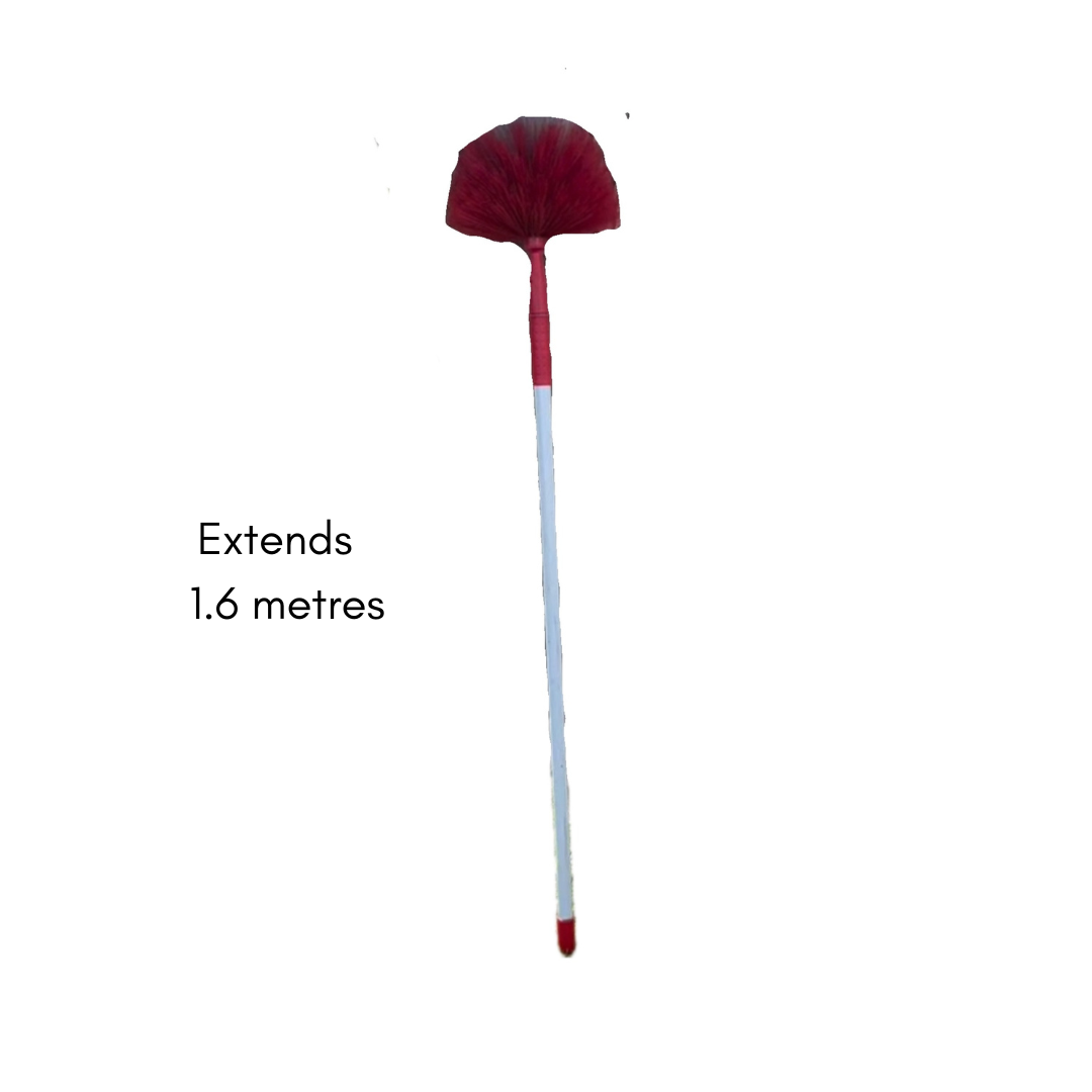 Extendable Cob Web Broom